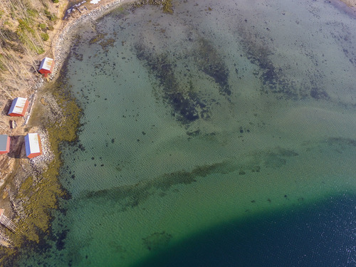 DJI0266r.jpg
