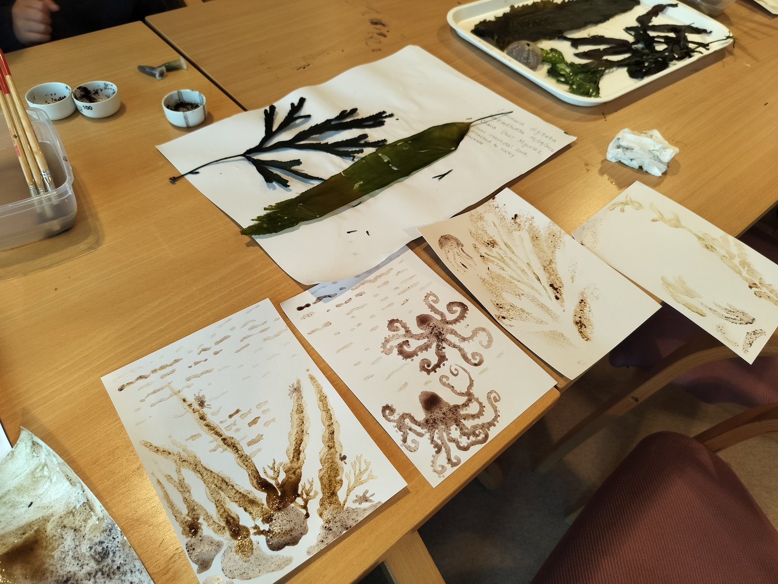 Seaweed pressings and paintings made with seaweed and sea-urchin pigments